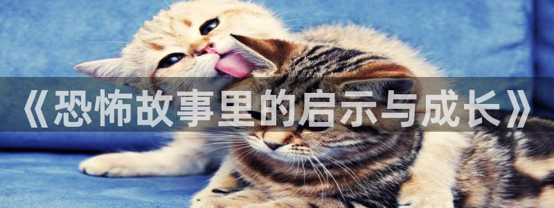 麻花传剧原创mv免费播放