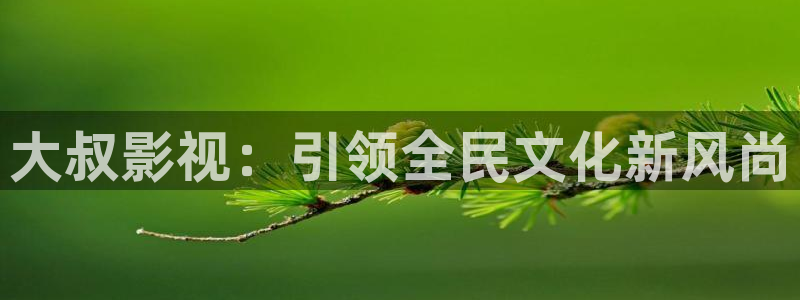 麻花视频在线观看