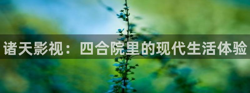 麻花影视免费观看美好生活