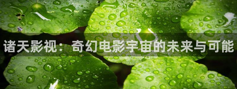 麻花机做麻花视频