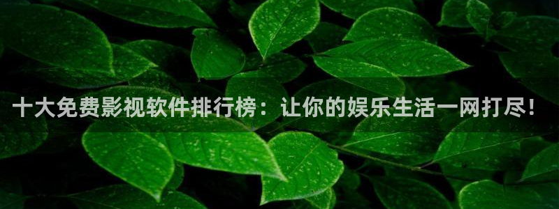 麻花视频电影