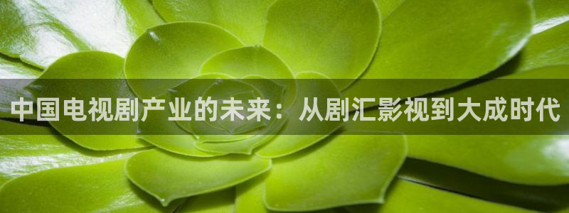 麻花视频影视