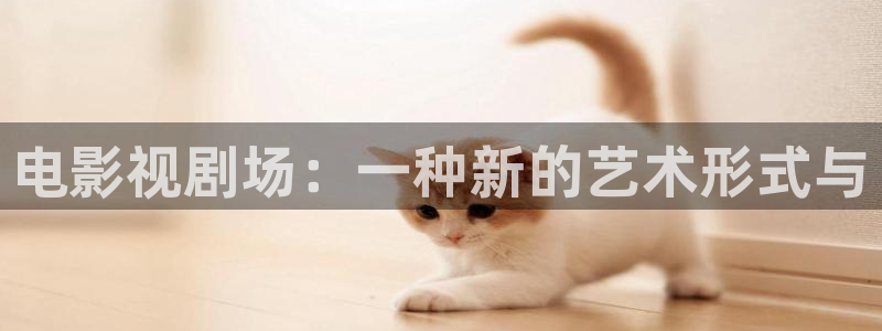麻花视频在线观看电视剧全集播放