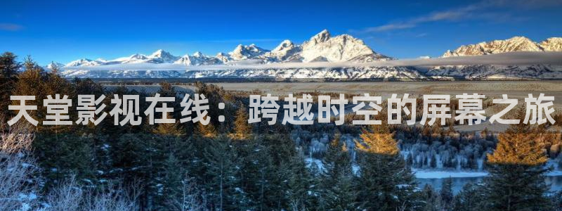 麻花视频网